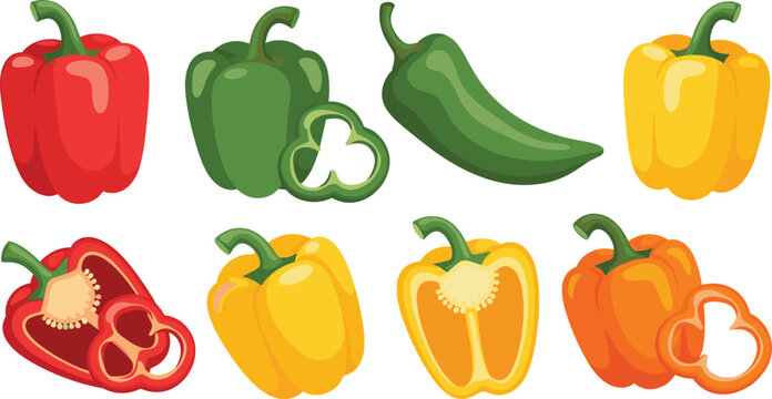 Colorful bell peppers and green chili pepper vector set featuring whole and sliced vegetables for organic food and grocery design