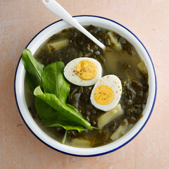 Spring soup with wild herbs