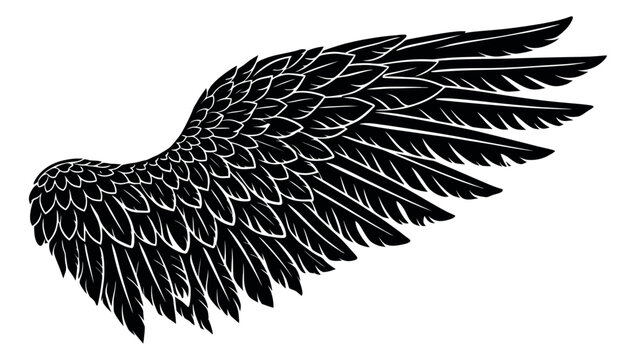 Hand drawn illustration of a single wing depicting stylized feathers for symbolic designs