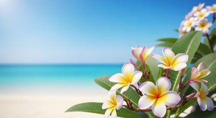 Fototapeta premium Serene beach scene with vibrant plumeria flowers in bloom