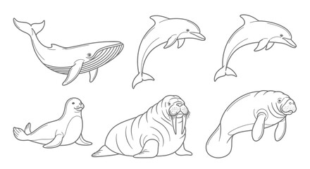 Various marine mammals including whales, dolphins, and seals illustrated in a simple line art style on a white background from different viewpoints
