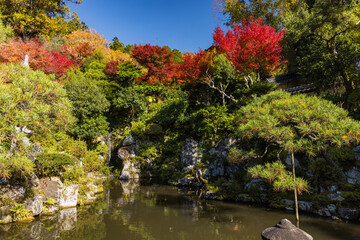 日本　鳥取県八頭郡智頭町にある石谷家住宅内の石谷氏庭園と紅葉 © pespiero