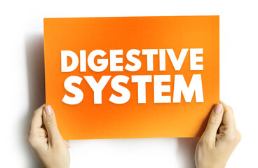 DIGESTIVE SYSTEM text on card held by hands, representing anatomy, health, biology, and human body education
