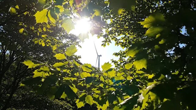 The video shows bright sunlight piercing a dense green forest canopy, highlighting vivid foliage. Glimpses of a modern wind turbine against a clear blue sky suggest a juxtaposition of nature and rene