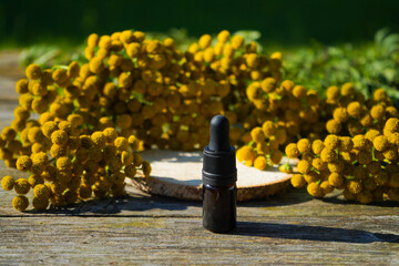 tansy medicinal extract, tincture, decoction, oil, in a small bottle nature © Ирина Старикова