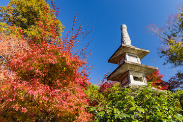 日本　鳥取県八頭郡智頭町にある石谷家住宅内の石谷氏庭園と紅葉 © pespiero