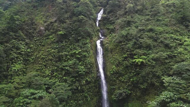 Drone footage of Curug Cikawah waterfall flowing powerfully through tropical rainforest landscape in Gunung Halimun Salak National Park, Bogor, West Java, Indonesia.