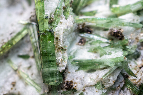 Close-up macro of green actinolite crystals embedded in white matrix rock, showcasing elongated prismatic structures and natural mineral texture