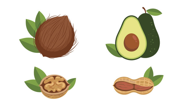 Selection of four healthy food items featuring coconut avocado walnut and peanut illustrations with green leaves.