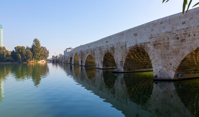 Fototapeta premium Adana Sabancı Central Mosque and historic stone bridge