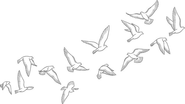 Flying birds line art set with flock in hand drawn sketch outline style