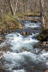 山奥の春の渓流
