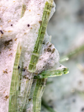 Close-up of elongated green actinolite crystals embedded in white host rock, highlighting prismatic structure, transparency, and natural mineral texture