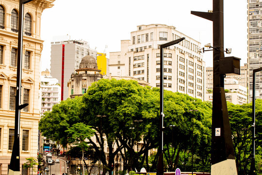 Pr&eacute;dios, &aacute;rvore, poste de rua, viaduto e constru&ccedil;&otilde;es da cidade de S&atilde;o Paulo. 