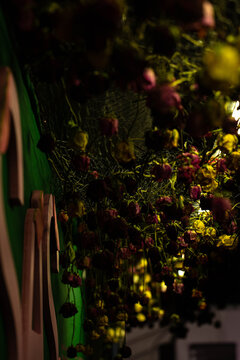 Rosas coloridas em parede iluminadas com luz artificial. 