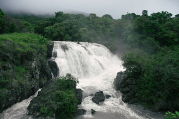 Fototapeta premium waterfall in the forest