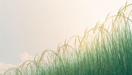 草の弧が空へ伸びる成長の抽象曲線を春色で表現