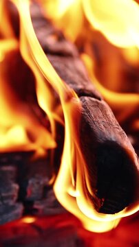 Close Up of Burning Wood in BBQ Grill