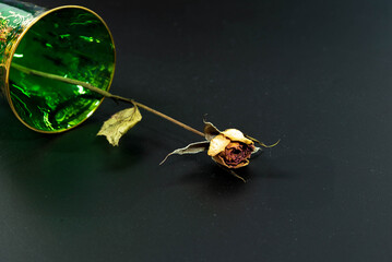 横たわるバラのドライフラワー