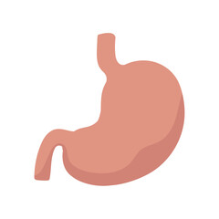 Simple Stomach Diagram for Healthcare and Education