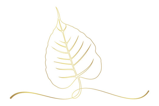 Bodhi leaf line art style illustration 1.eps