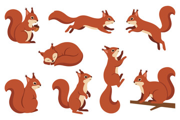 Cartoon squirrel set in different poses and views isolated on white background, flat vector illustration © Trixy