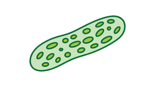 A digital illustration of a paramecium, a type of single-celled organism, rendered in a minimalist style (3)_traced