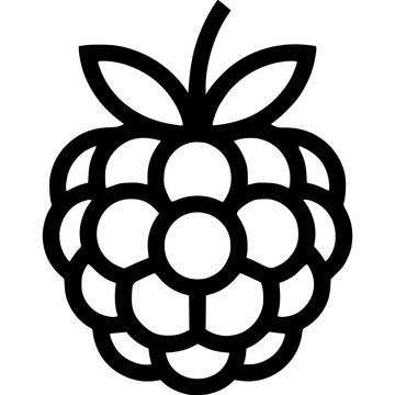 Vector illustration of  rasberry design on a black background