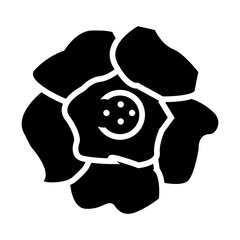 black and white raflessia flower from Indonesia glyph icon illustration vector