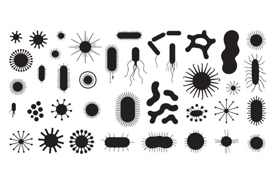 Set of black silhouette microorganisms and bacteria icons on white background biology science vector art