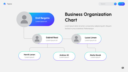 Business Organization Chart