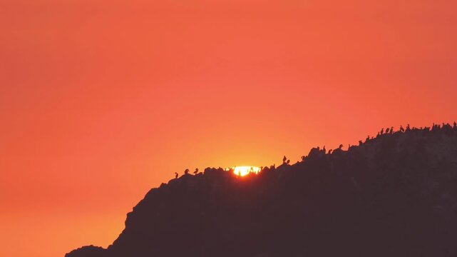 Stunning silhouette of a forested mountain ridge against a vibrant fiery orange sunset sky.