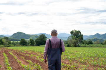 Fototapeta premium Portrait of Confident agriculture standing proudly in his growing corn field. He enjoying agriculture life, farm success, and hard work under warm sunlight.