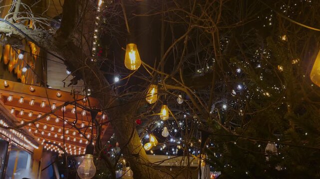 Warm festive string lights decorating outdoor trees at night, Holiday illumination scene creating cozy atmosphere with glowing bulbs and garlands