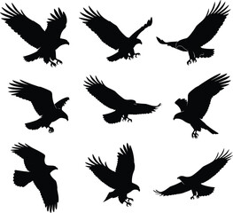 Obraz premium Majestic Black Eagle Silhouette Vector Set Featuring Flying Bald Eagles, Soaring Hawks, and Hunting Falcons for Wildlife Logos, Outdoor Branding, and Patriotic Graphic Designs