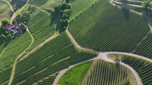 Aerial footage shows winding roads crossing Styria vineyards on steep hills, warm sunset colors shaping soft curves of land, peaceful movement, quiet atmosphere of summer wine region.