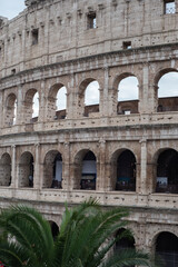 Obraz premium Layered Arches of the Colosseum Framed by Palm Leaves with Visitors Exploring the Ancient Amphitheatre in Rome, Italy