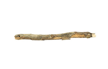 Fototapeta premium Weathered wooden stick or branch isolated on transparent background, rough bark texture, rustic natural object for design cutout.