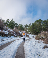 Woman Seen from Behind Walking on Snowy Road in Winter Clothing
