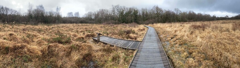 Promenade dans les tourbi&egrave;res des Monts d'Arr&eacute;e en Finist&egrave;re Bretagne Cornouaille France