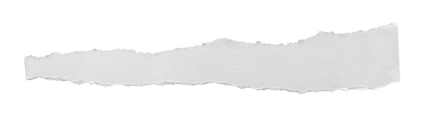 Wide torn white paper texture with rough top and bottom edges, isolated background.