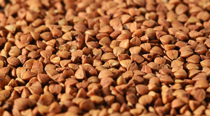 Buckwheat Grain Texture. healthy Food Background