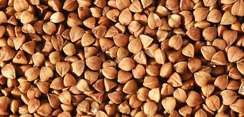 Buckwheat Grain Texture. Food Background