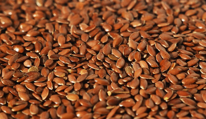 flax texture. linseed background macro