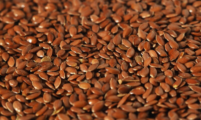 flax texture. linseed background macro