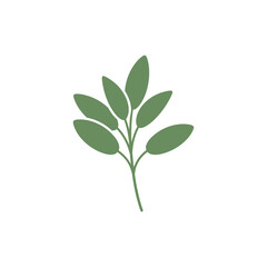 Obraz premium Sage Plant Silhouette with Oval Leaves, Flat Minimal 2D Vector Art