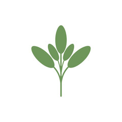 Obraz premium Sage Sprig with Oval Leaves Minimalist Flat Green Botanical Illustration