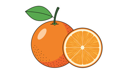 Detailed illustration of a whole orange fruit with a green leaf and a perfectly sliced half showing the inside segments.