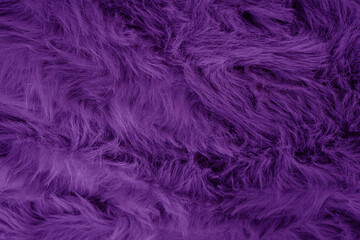 Fototapeta premium Vibrant deep purple plush faux fur texture creating a luxurious soft fluffy abstract background material design