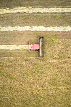A self-propelled mower cuts grain and places it into a windrow to soften the grain before threshing. Aerial view of a wheat field.